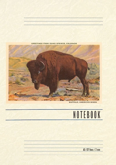 Vintage Lined Notebook Greetings from Idaho Springs