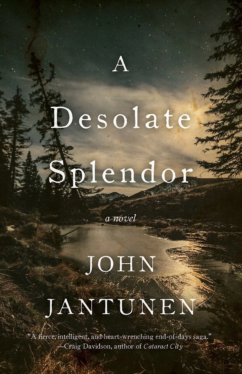 A Desolate Splendor: Novel