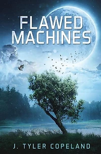 Flawed Machines