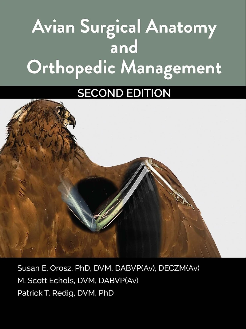 Avian Surgical Anatomy And Orthopedic Management