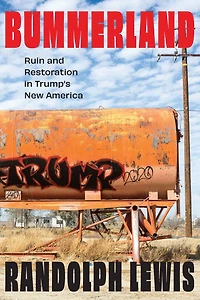 Bummerland: Ruin and Restoration Trump's New America