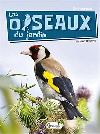 Les oiseaux du jardin