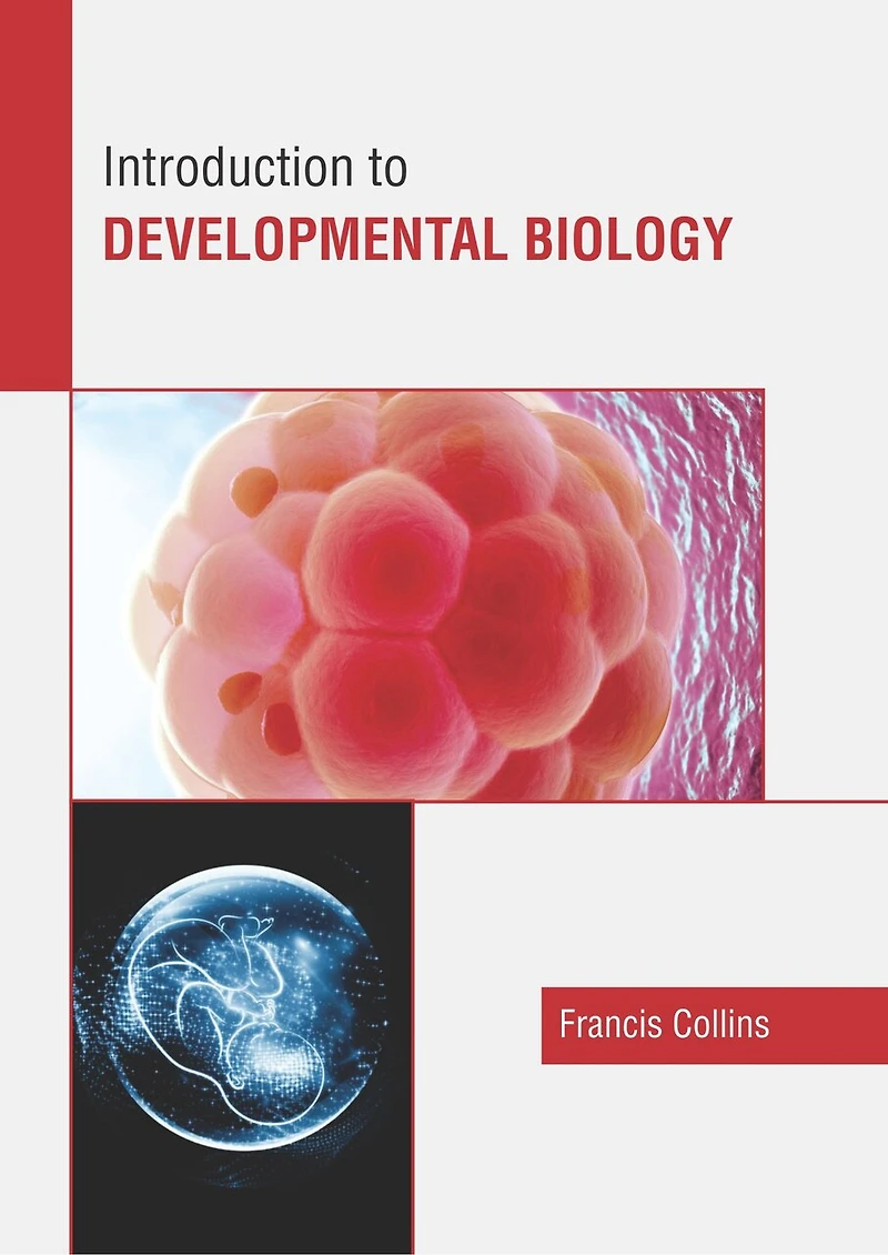 Introduction To Developmental Biology