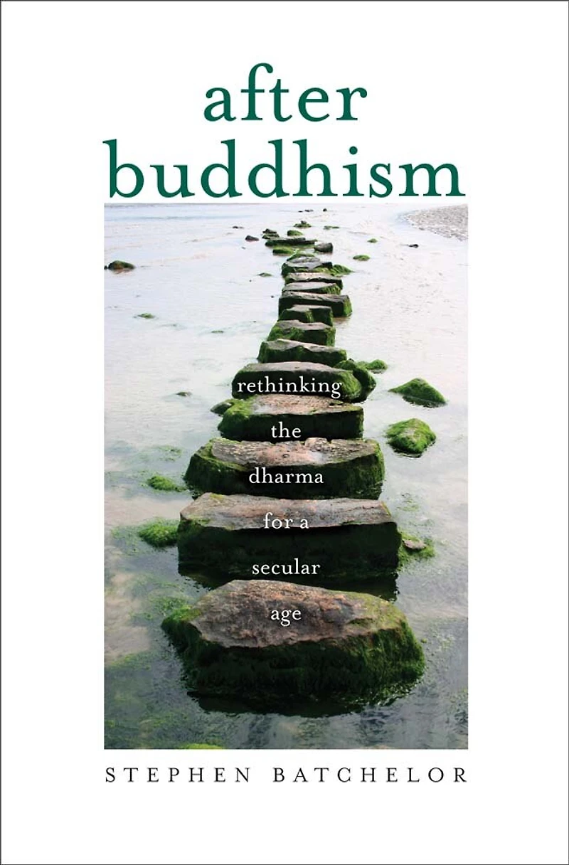 After Buddhism: Rethinking The Dharma For A Secular Age