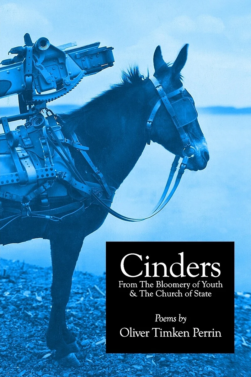 Cinders From The Bloomery of Youth & The Church of State: Poems 1994-2016