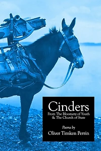 Cinders From The Bloomery of Youth & The Church of State: Poems 1994-2016