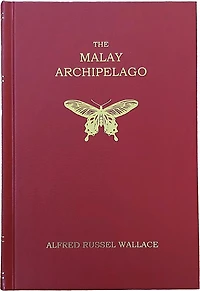 The Malay Archipelago: (Facsimile edition)