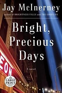 Bright, Precious Days: A Novel