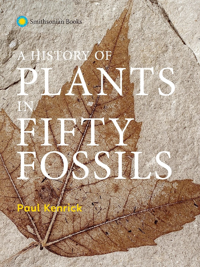 A History of Plants in Fifty Fossils