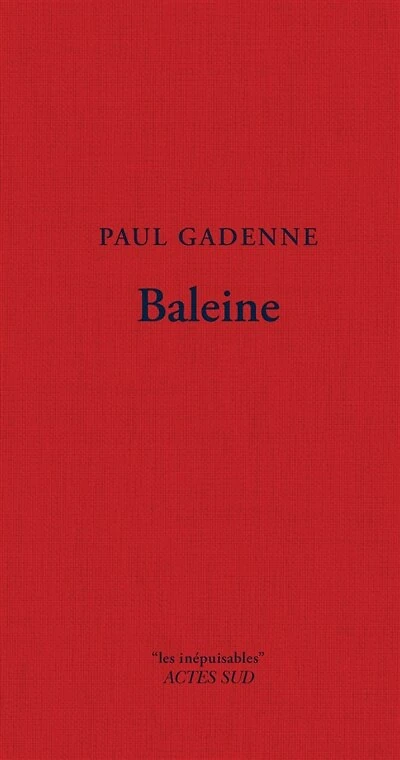 Baleine
