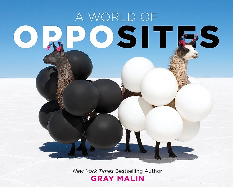 A World of Opposites: Picture Book