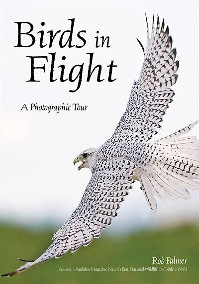 Birds In Flight: A Photographic Essay Of Hawks, Ducks, Eagles, Owls, Hummingbirds, & More