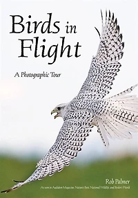 Birds In Flight: A Photographic Essay Of Hawks, Ducks, Eagles, Owls, Hummingbirds, & More