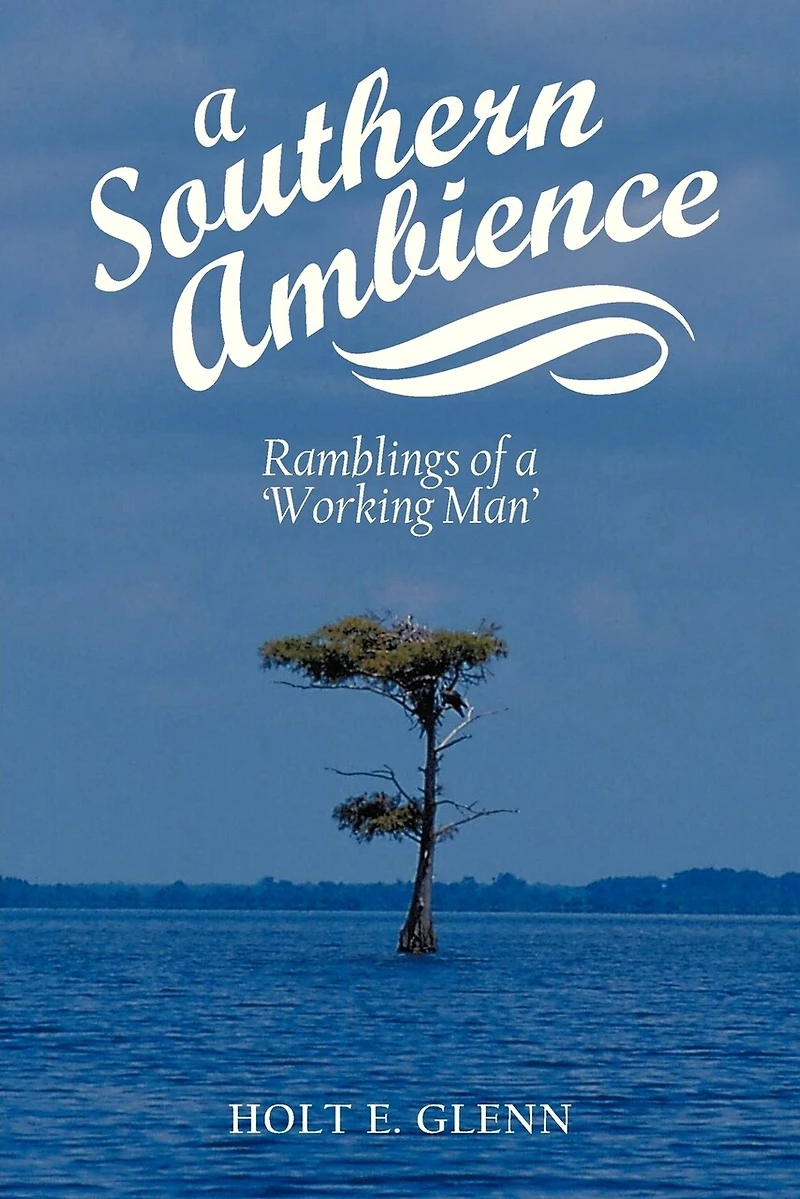 A Southern Ambience: Ramblings Of 'working Man'