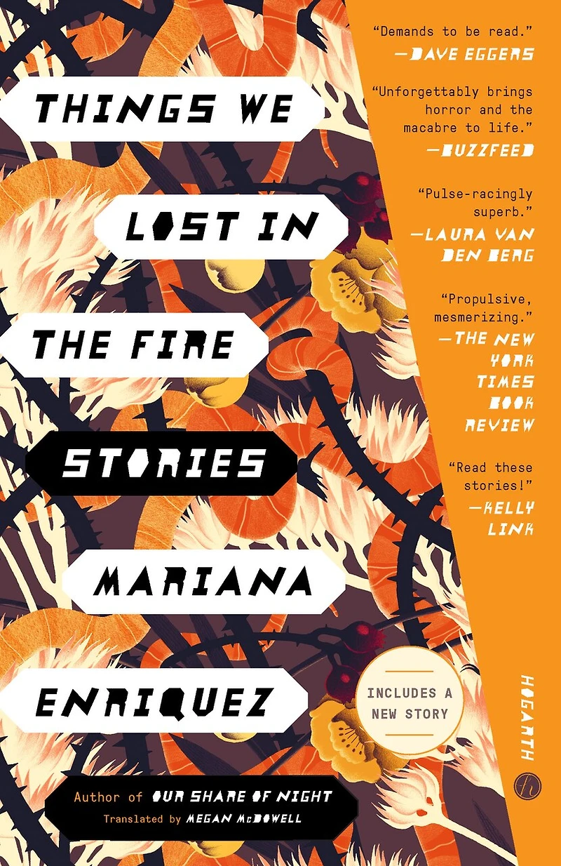 Things We Lost the Fire: Stories