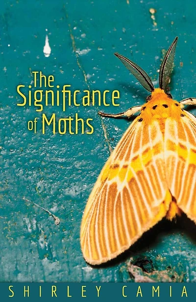 The Significance Of Moths