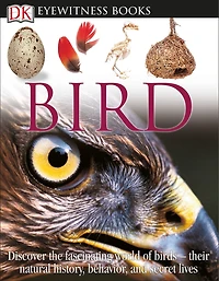 Eyewitness Bird