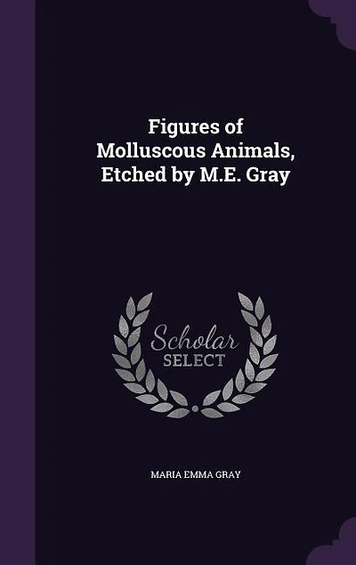 Figures of Molluscous Animals