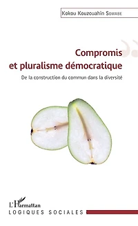 Compromis Et Pluralisme Démocratique