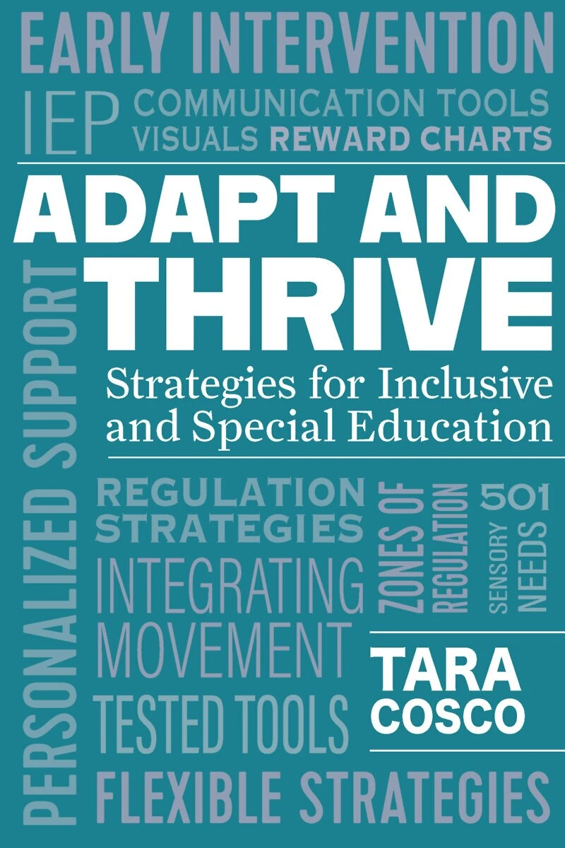 Adapt and Thrive: Strategies for Inclusive Special Education