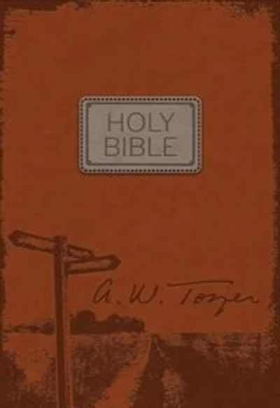 The Pursuit Of God Bible - Flexi Terra Cotta: Flexisoft - Teal