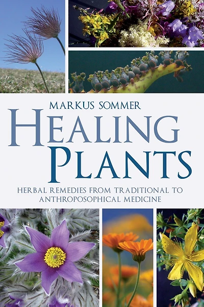 Healing Plants: Herbal Remedies From Traditional To Anthroposophical Medicine