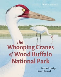 The Whooping Cranes of Wood Buffalo National Park
