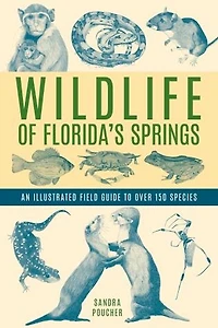 Wildlife of Florida's Springs: An Illustrated Field Guide to Over 150 Species