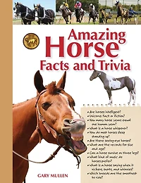Amazing Horse Facts And Trivia
