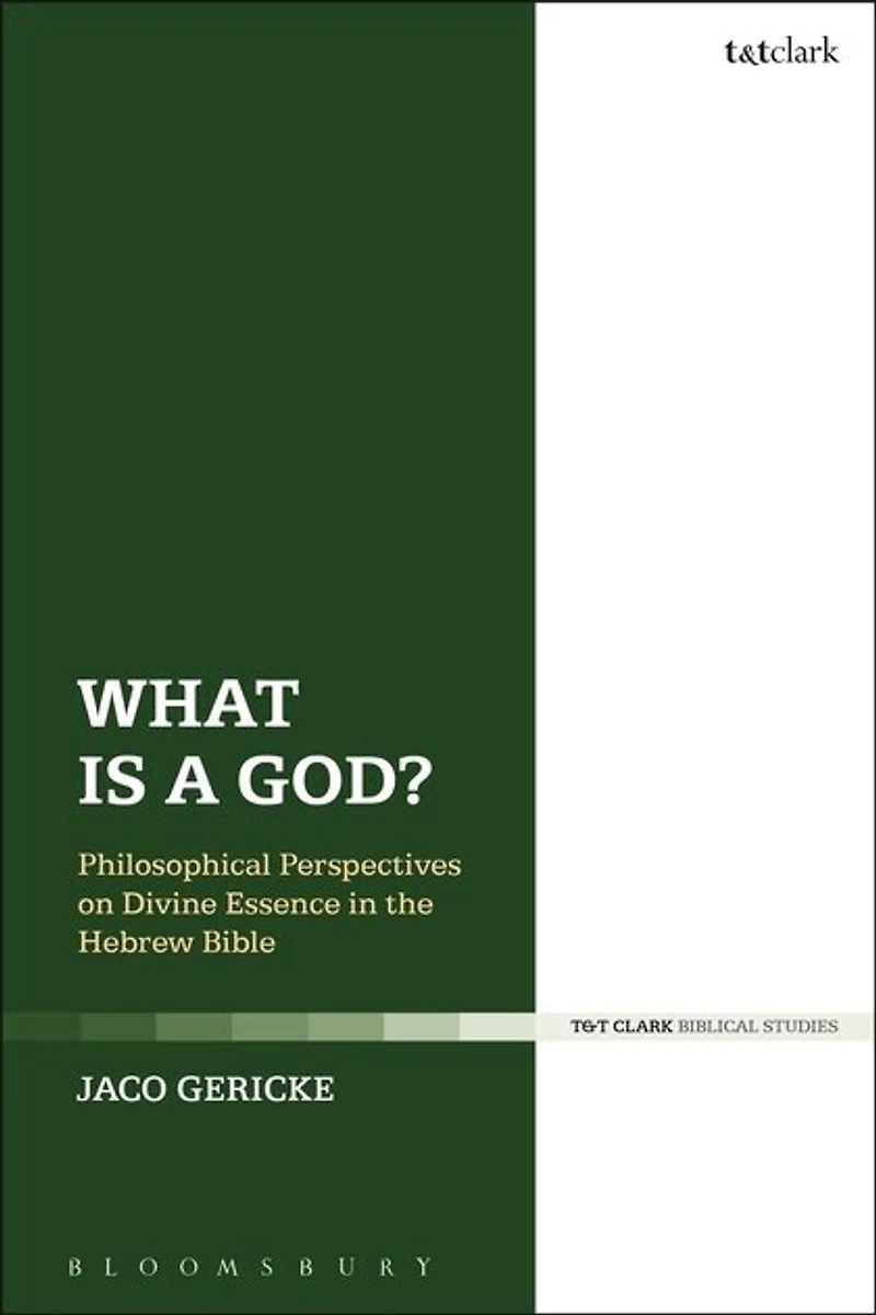 What is a God?: Philosophical Perspectives on Divine Essence the Hebrew Bible