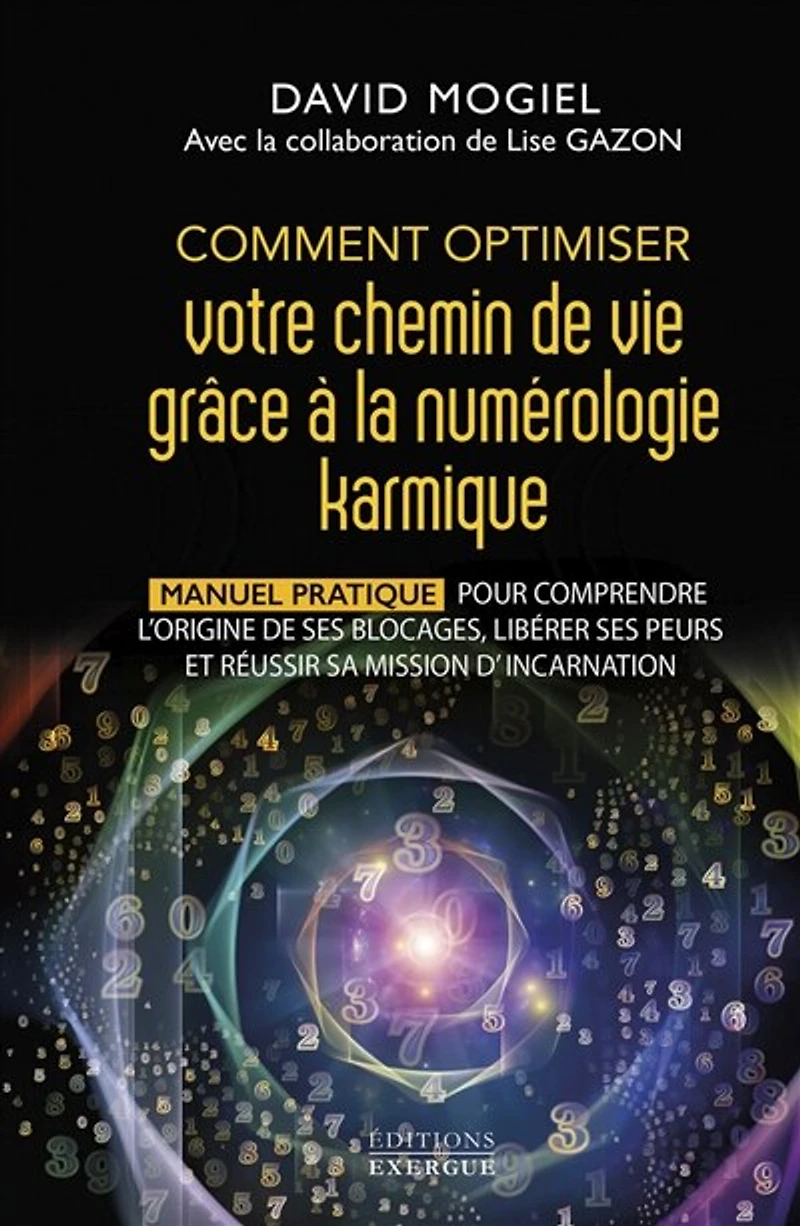 Comment optimiser votre chemin de vie grâce à la numérologie karmique - Manuel pratique pour comprendre l'origine ses blocages, libérer peurs et réussir sa mission d'incarnation