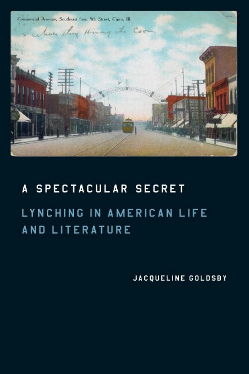 A Spectacular Secret: Lynching American Life and Literature
