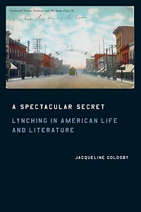 A Spectacular Secret: Lynching American Life and Literature