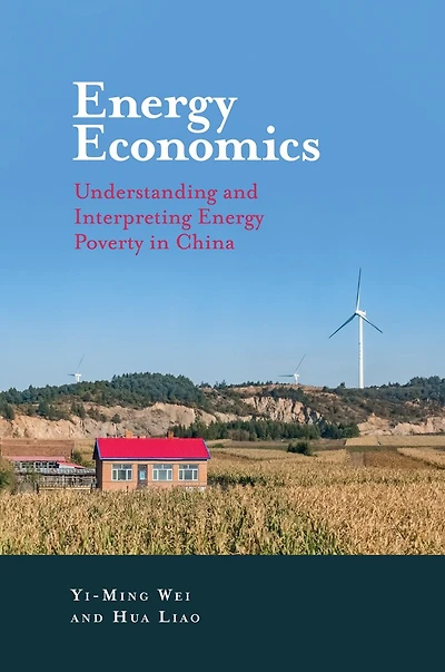 Energy Economics: Understanding and Interpreting Poverty China
