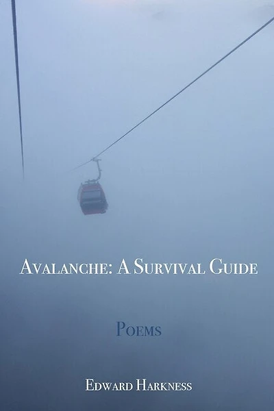 Avalanche: A Survival Guide