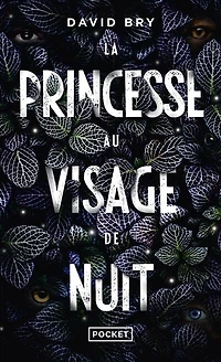 La princesse au visage de nuit
