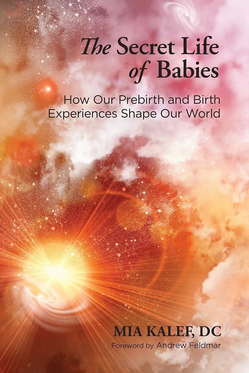 The Secret Life of Babies: How Our Prebirth and Birth Experiences Shape World