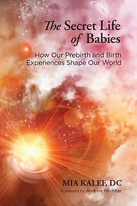 The Secret Life of Babies: How Our Prebirth and Birth Experiences Shape World