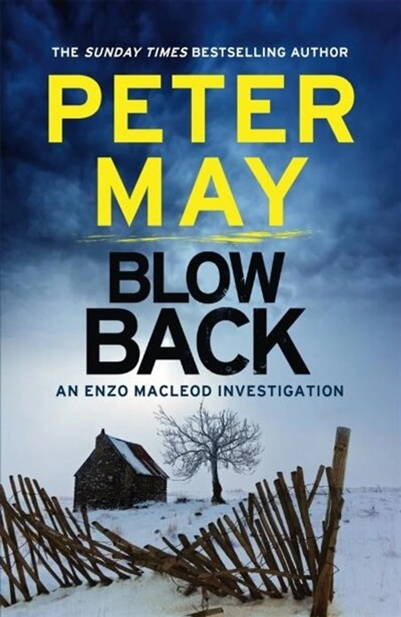 Blowback: the exciting penultimate case addictive crime series (The Enzo Files Book 5)