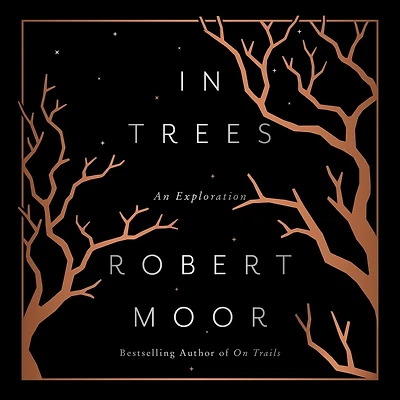 In Trees: An Exploration