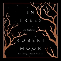 In Trees: An Exploration