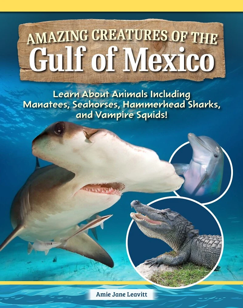 Amazing Creatures of the Gulf of Mexico: Learn About Animals Including Manatees, Seahorses, Hammerhead Sharks, and Vampire Squids!