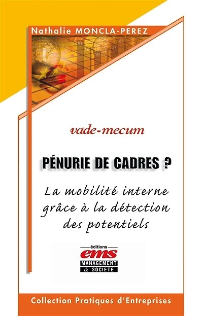 Pénurie de cadres ? : la mobilité interne grâce à détection des potentiels vade-mecum: