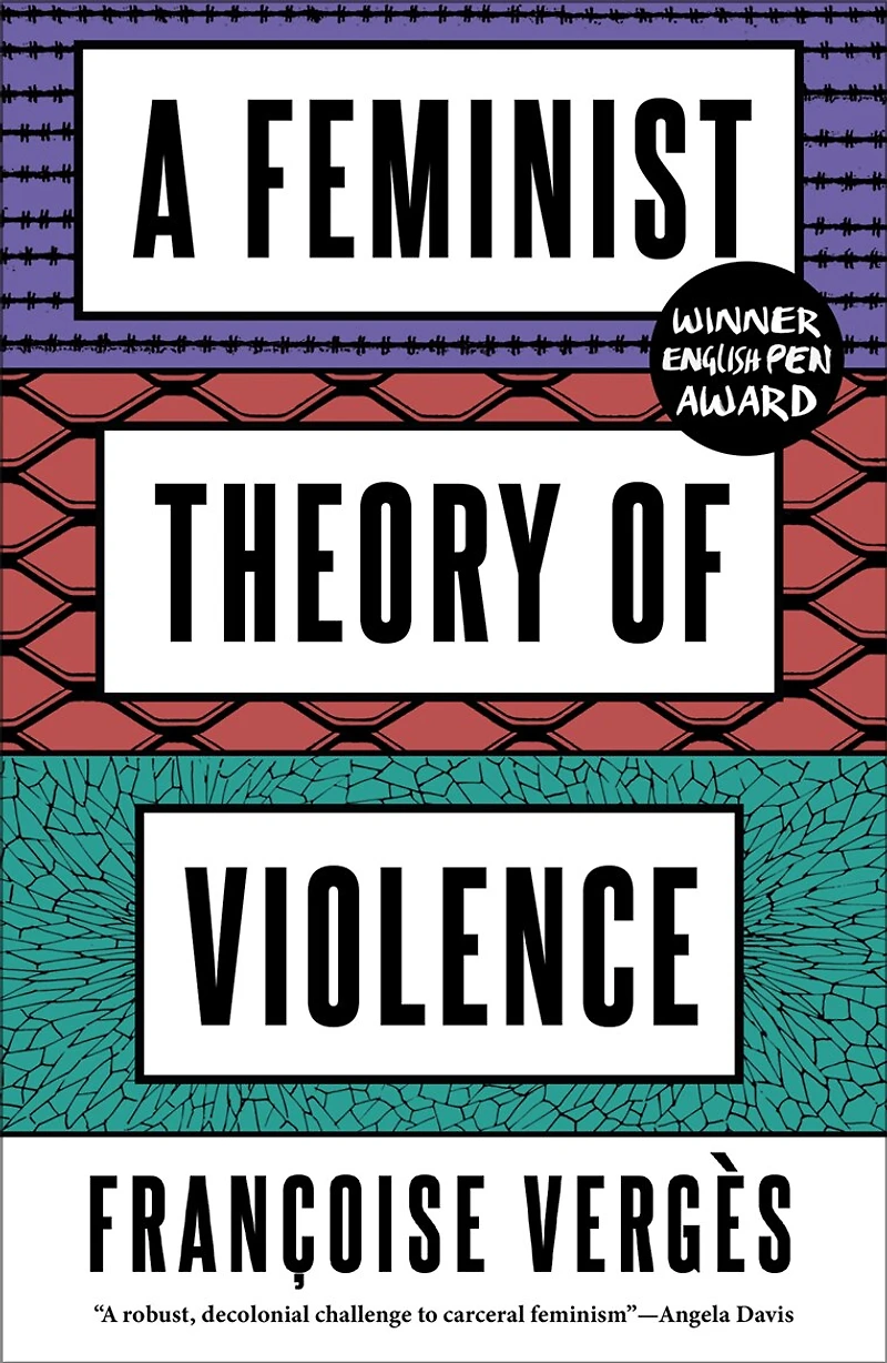 A Feminist Theory of Violence: Decolonial Perspective