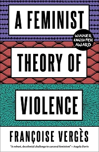 A Feminist Theory of Violence: Decolonial Perspective