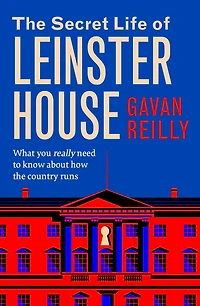 the Secret Life of Leinster House: What you really need to know about how country is run
