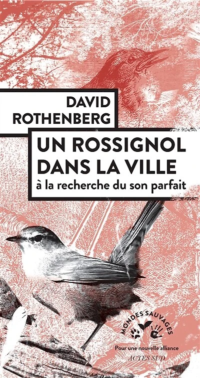 Un rossignol dans la ville: à recherche du son parfait