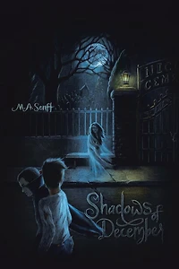 Shadows Of December: Illusions Of Time