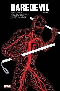 DAREDEVIL ICONS T01