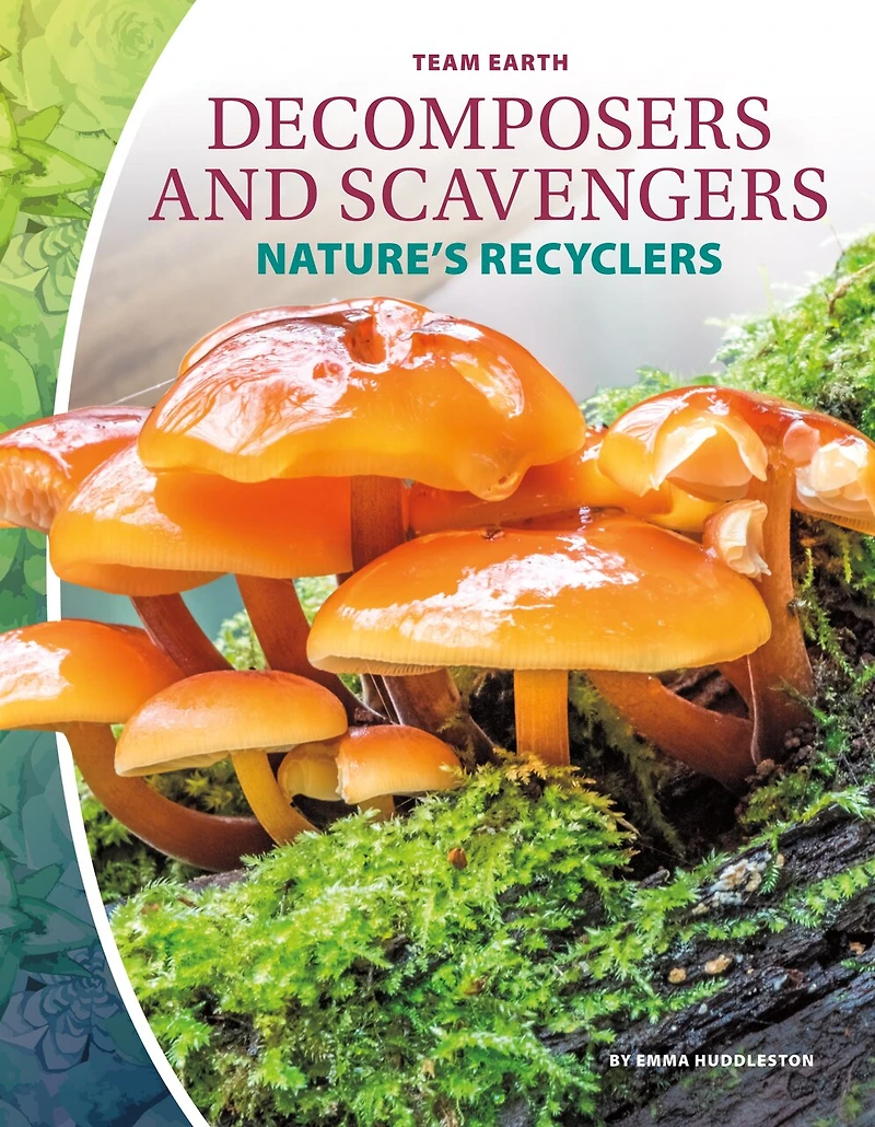 Decomposers and Scavengers: Nature's Recyclers: Nature's Recyclers